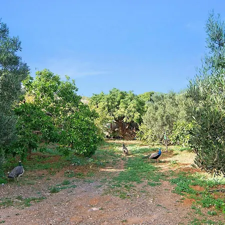 Vakantiehuis Casa Toscas *