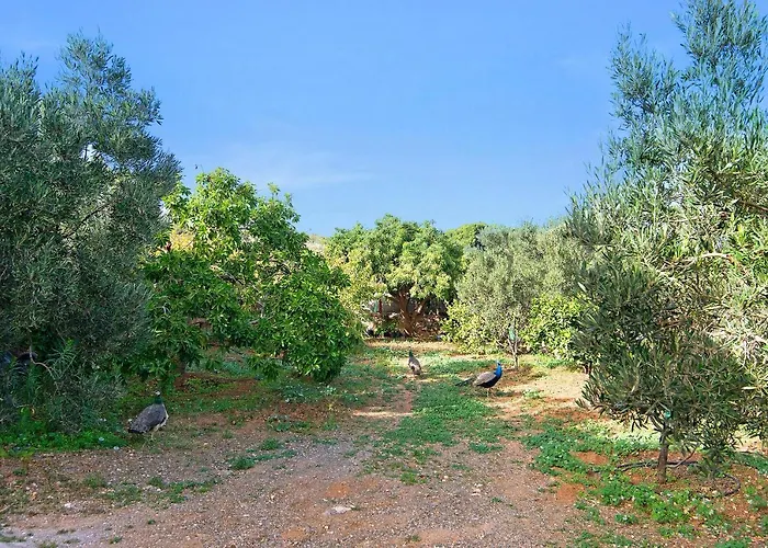 Casa Toscas Сasa de vacaciones Ingenio