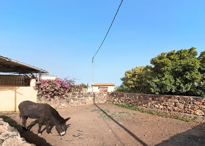 Casa Toscas Holiday home *